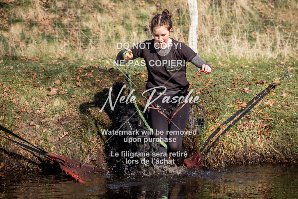 nelerasche_FS0900-1000_118 | nelerasche