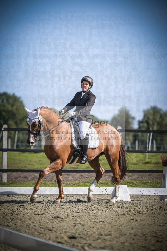 DOS_1628 | Entdecke hochwertige Reitturnierfotos von Foto Oger. Professionell, emotional und authentisch – jetzt Lieblingsmomente im Shop bestellen.Deutschlandweite Turnierfotografie. - Realisiert mit Pictrs.com