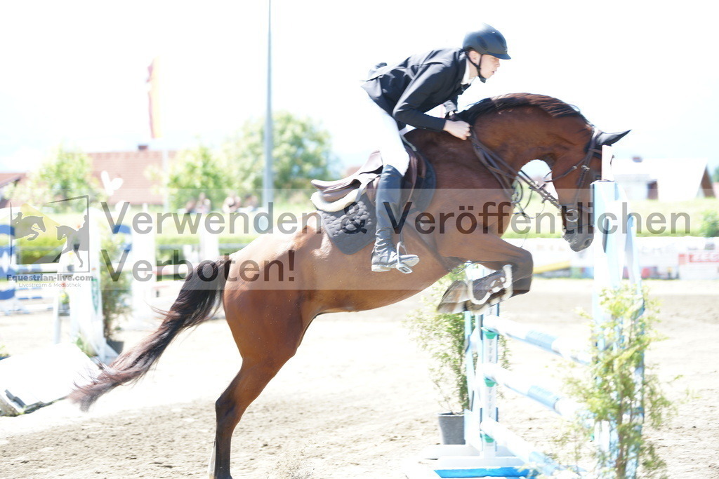 DSC06076 | equestrian-live-com