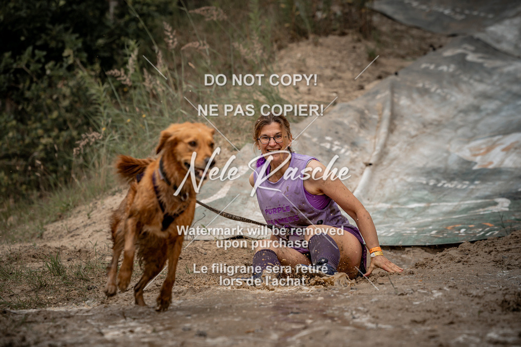 nelerasche_sa1100-1200_506 | nelerasche