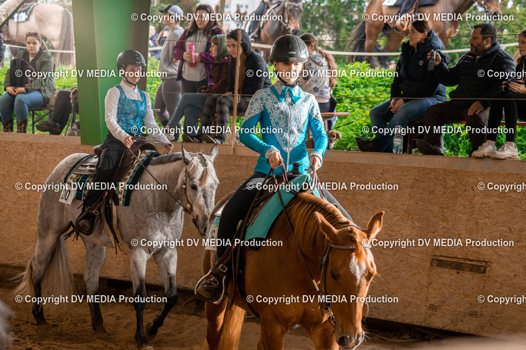 BAL01437 | dv-media-shop - Realisiert mit Pictrs.com