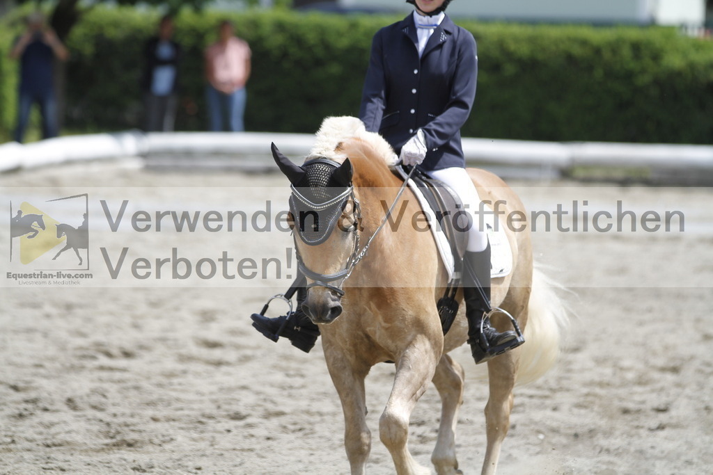 _MG_8539 | equestrian-live-com