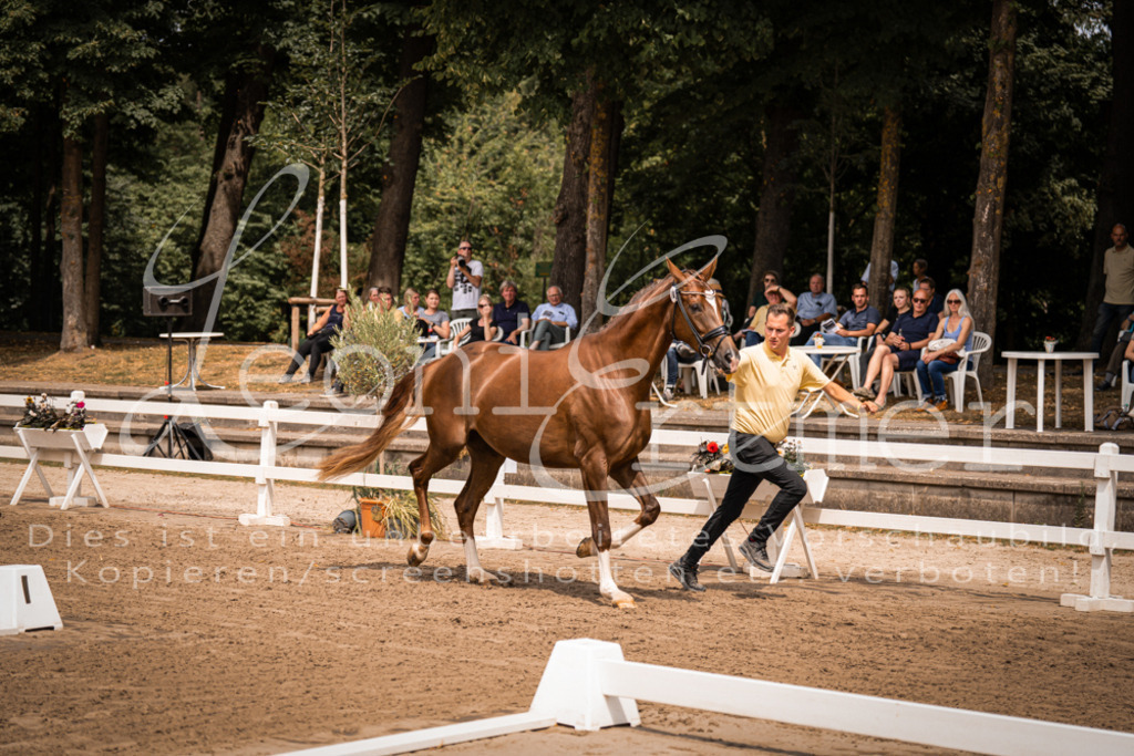 2. Fr00028 | Leoni Ertmer Photography - Realisiert mit Pictrs.com