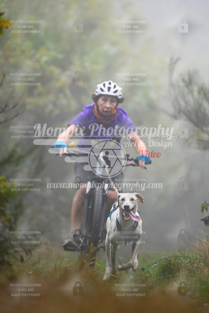 MompixPhotography_20TSB_E4_Bike-128 | PayLife