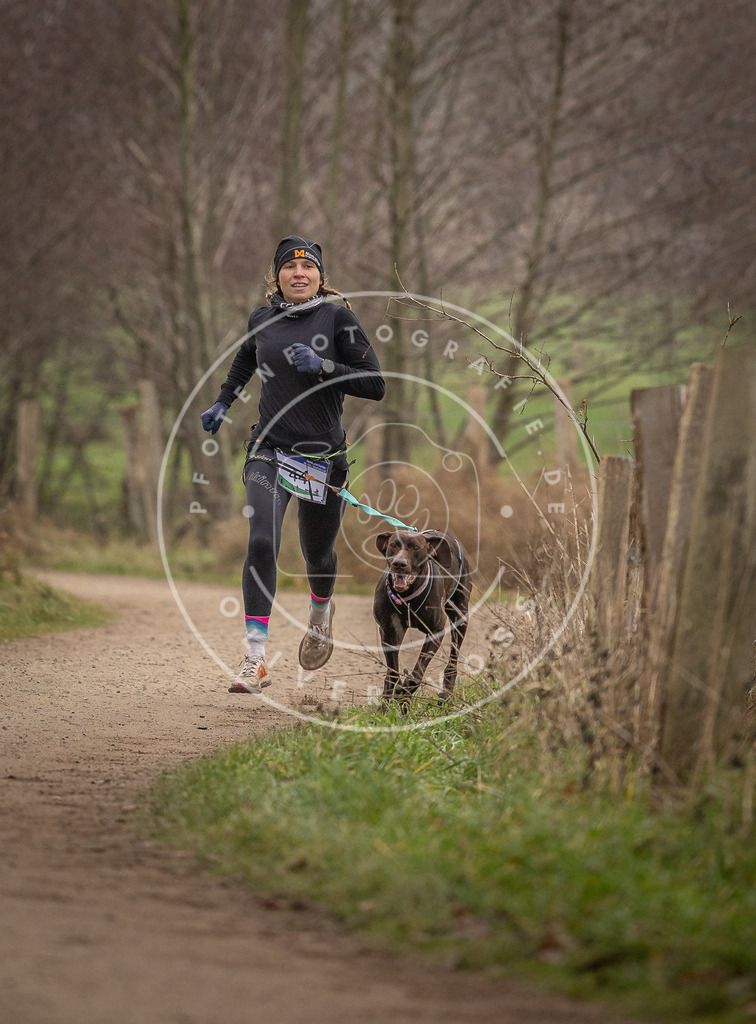 Pfotenfotografie_DV3A2676 | Hundefotografie, Tierfotograf, Pfotenfotografie, Fotoshooting Hund, Hunde Portrait, Hundesport, Hundeportraits, Heideshooting, Hunde, Sportfotograf, Hundefotograf, Turnierhundsport, THS,  - Realisiert mit Pictrs.com