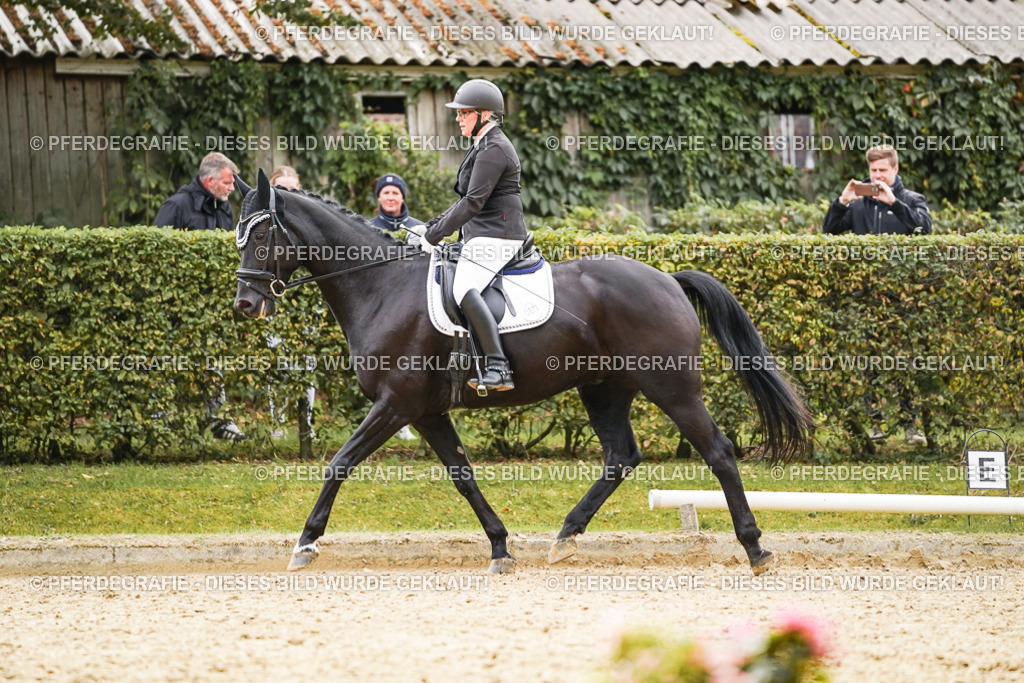 DSC01163 | Pferdegrafie