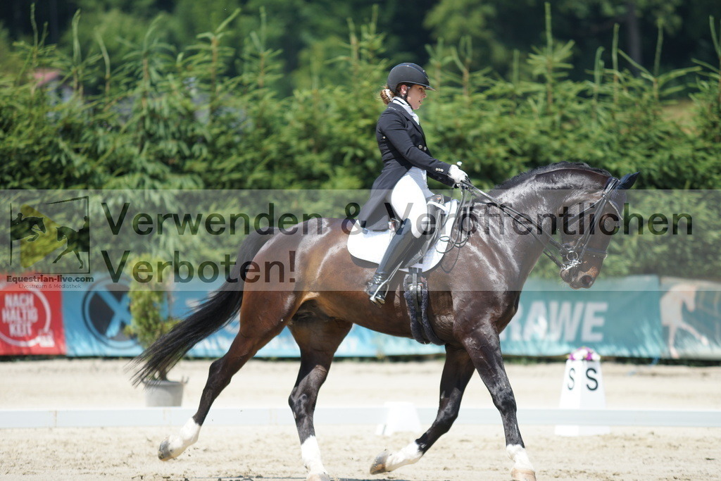DSC05145 | equestrian-live-com