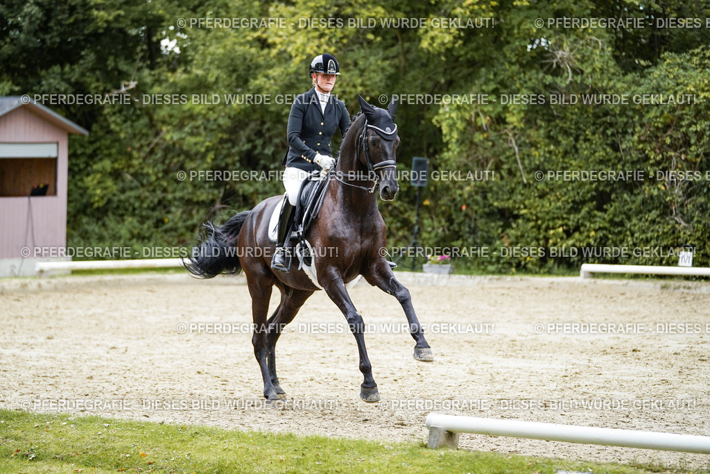 DSC01537 | Pferdegrafie