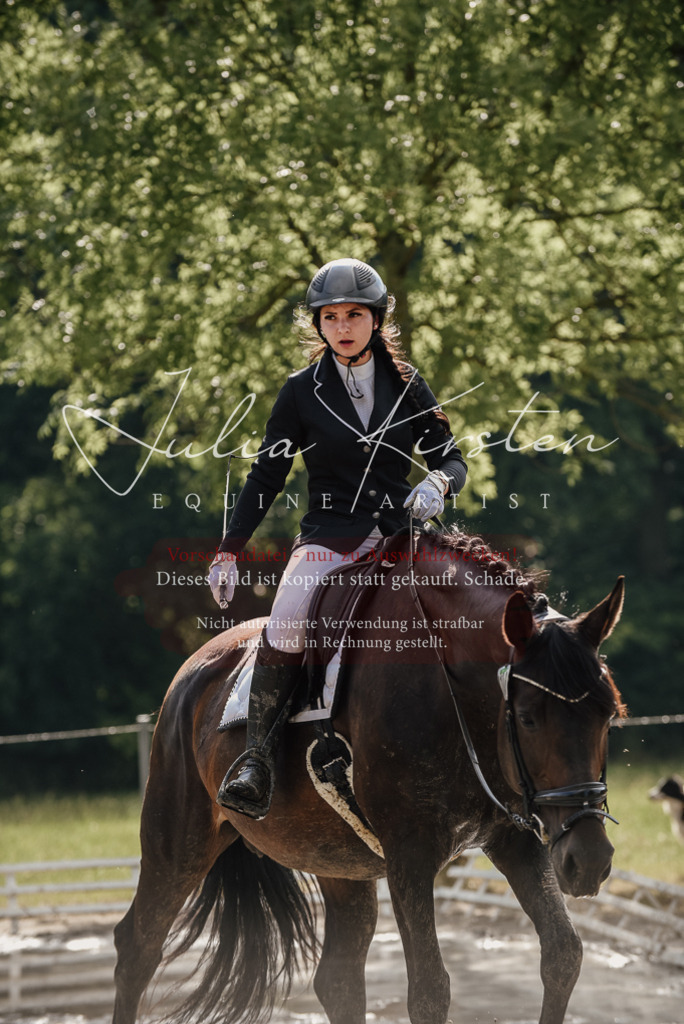 DSC_8698 | Pferde- und Turnierfotografie in Westsachsen. Pferdeportraits, Auftragszeichnungen und intuitive Kunst.