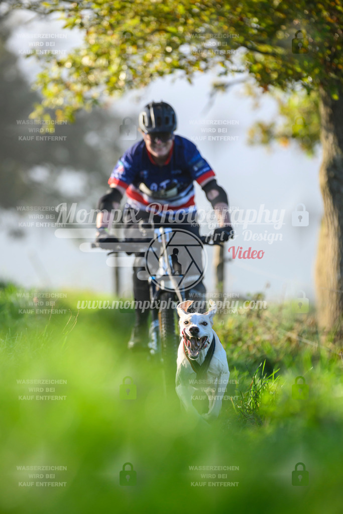 MompixPhotography_20TSB_E3_Bike-205 | PayLife