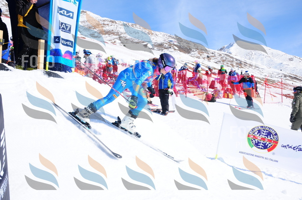 DSC_4739 | holidayphoto