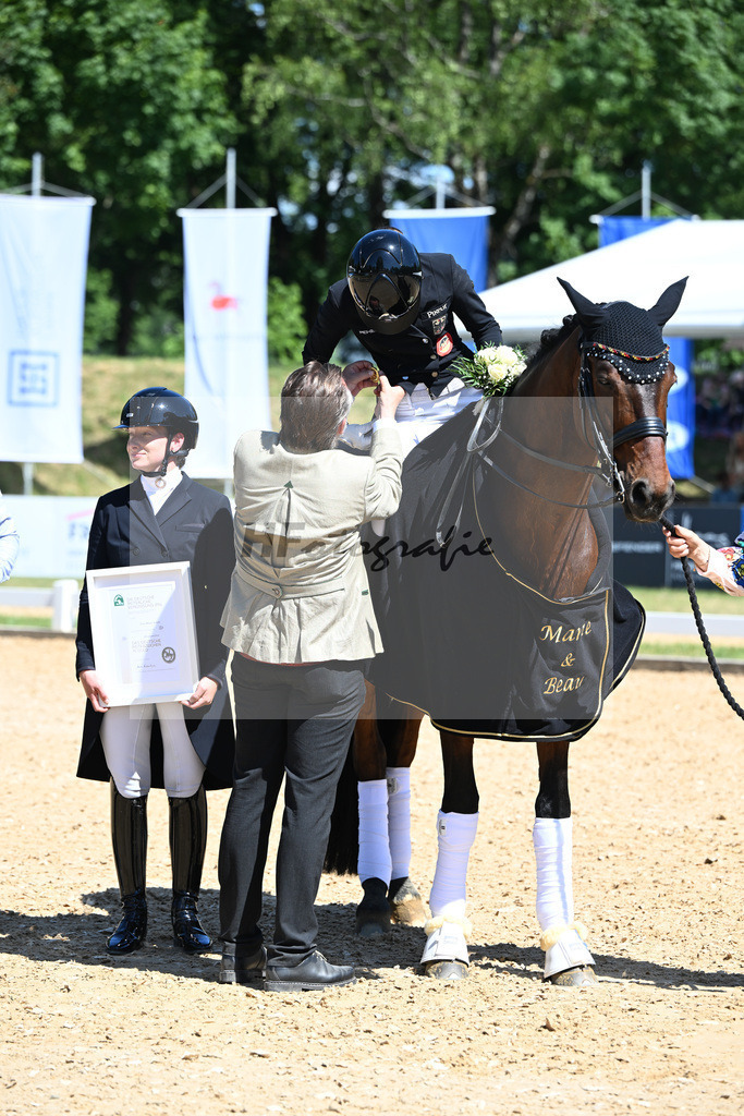 Goldenes Reitabzeichen_Marie Sohler_11253401 | hf-fotografie - Realisiert mit Pictrs.com