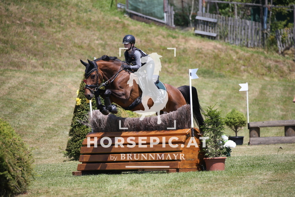 DL2Q1186 | Willkommen bei Brunnmayr - Design & Fotografie – Ihrem Spezialisten für Reitturniere und Pferdeveranstaltungen in Oberösterreich, Salzburg und Bayern! Seit über 17 Jahren sind wir leidenschaftlich dabei.