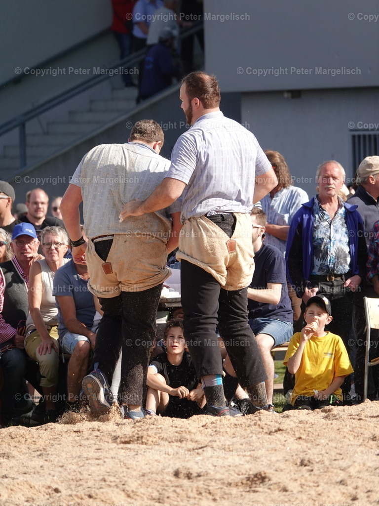 DSC05617 | Schwingen - Realisiert mit Pictrs.com