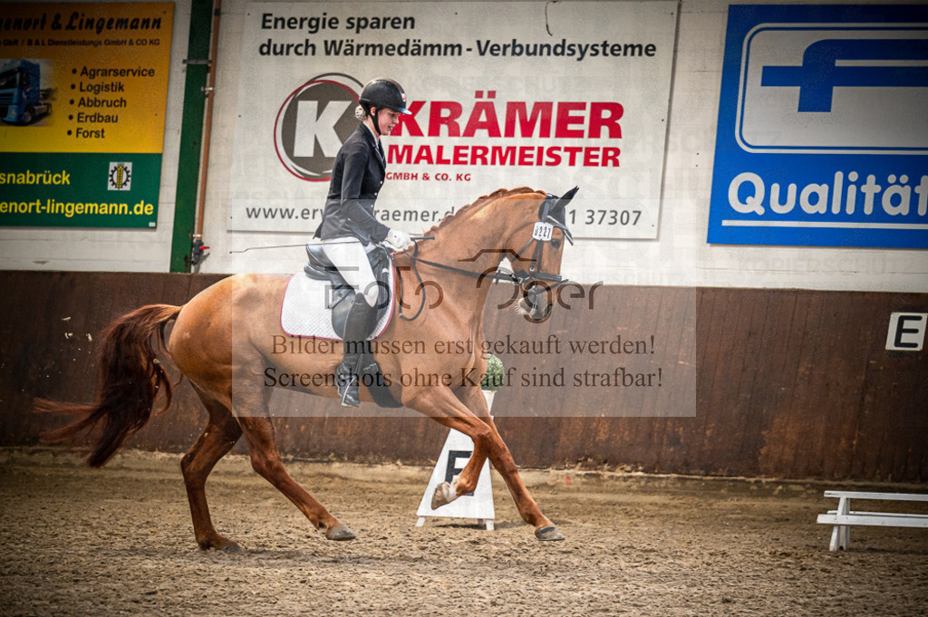Hallenreittunier Voxtrup 2023 | Entdecke hochwertige Reitturnierfotos von Foto Oger. Professionell, emotional und authentisch – jetzt Lieblingsmomente im Shop bestellen.Deutschlandweite Turnierfotografie. - Realisiert mit Pictrs.com