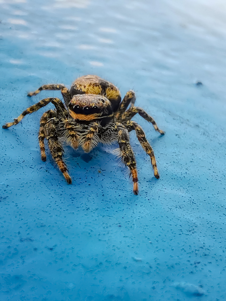 PSX_20230601_224608 | mtkfoto_ - Realisiert mit Pictrs.com