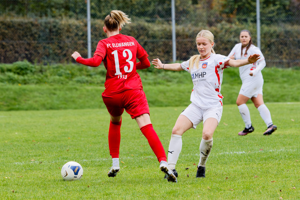 FCEFCH_251012_3843 | Fotopresso – Sportfotografie in Heidenheim & Umgebung. Professionelle Sportfotografie für unvergessliche Momente. Dynamische Action-Shots, emotionale Szenen & hochwertige Bilder. - Realisiert mit Pictrs.com
