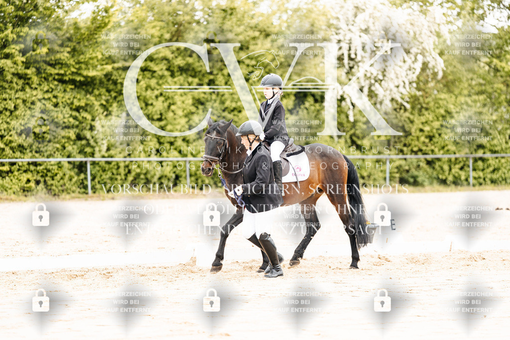 CK903653 | Turnierfotografie Pferdefotografie Trier Rheinland-Pfalz Pferdesport Reitsport Tierfotografie Sportfotografie Pferdevideo Pferdevideografie Equestrianvideography equestrianphotography  - Realisiert mit Pictrs.com