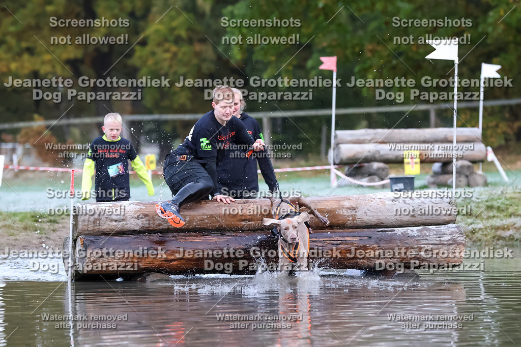 Dog Paparazzi - Strongdog 10-25-6136 | Dog Paparazzi Jeanette Grottendiek Fotografie & Videografie - Realisiert mit Pictrs.com