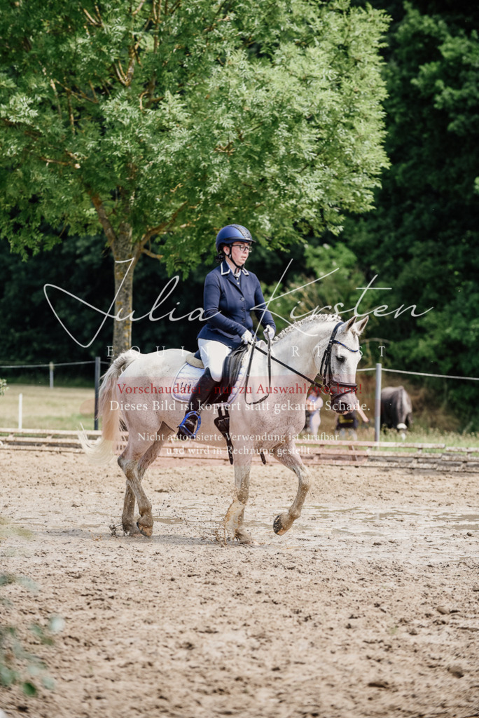 DSC_1808 | Pferde- und Turnierfotografie in Westsachsen. Pferdeportraits, Auftragszeichnungen und intuitive Kunst.