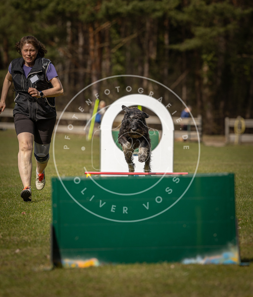 Pfotenfotografie_DV3A0267 | Hundefotografie, Tierfotograf, Pfotenfotografie, Fotoshooting Hund, Hunde Portrait, Hundesport, Hundeportraits, Heideshooting, Hunde, Sportfotograf, Hundefotograf, Turnierhundsport, THS,  - Realisiert mit Pictrs.com