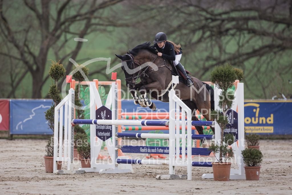230408_Frühlingsfest_Stil-L-1-831 | Deine schönsten Turniermomente als professionelle Fotos! Entdecke hochwertige Pferdesport-Fotografie im Online-Shop. Jetzt Fotos finden & bestellen!