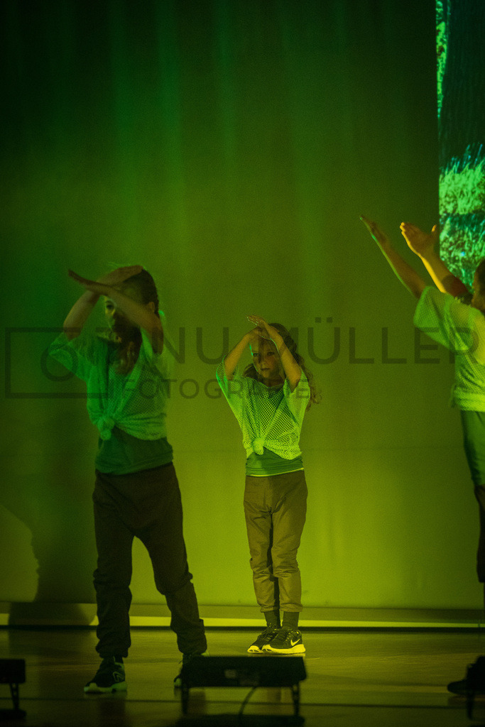 _DSC2177 | Tinu Müller Fotografie- Bildershop - Realisiert mit Pictrs.com