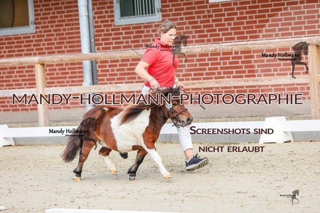 1-26 | mandyhollmannphotographie