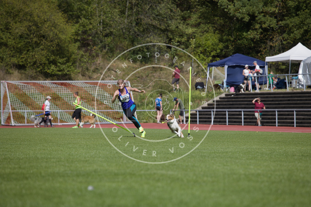 0L8A7025 | Hundefotografie, Tierfotograf, Pfotenfotografie, Fotoshooting Hund, Hunde Portrait, Hundesport, Hundeportraits, Heideshooting, Hunde, Sportfotograf, Hundefotograf, Turnierhundsport, THS,  - Realisiert mit Pictrs.com