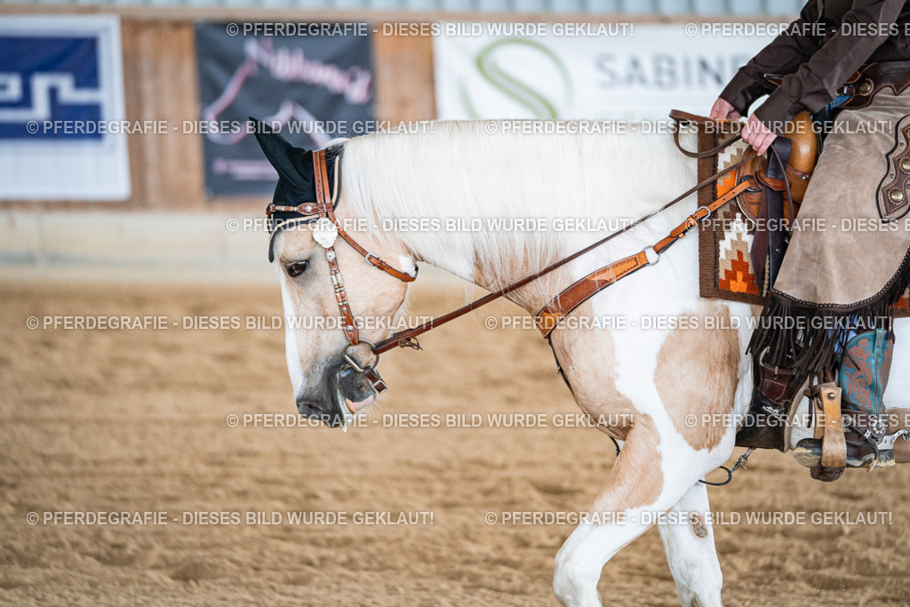 DSC09148 | Pferdegrafie