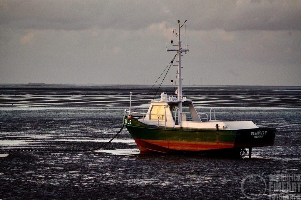 _M_D8690 | Björn Thiemann; Ogenblick.de; Fotografie; Photograph; Landscape, Pellworm, Schleswig-Holstein; Inselfotograf; Inselfotografien; Wattenmeer; National-Park; Naturschutzgebiet; Leuchtturm; Lighthouse; Leinwandbilder; Kalender; Pellworm Kalender;  - Realisiert mit Pictrs.com