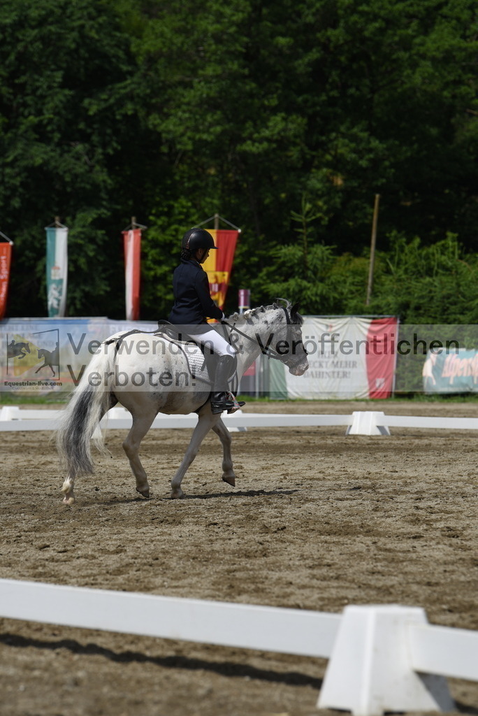 DSC_8774 | equestrian-live-com