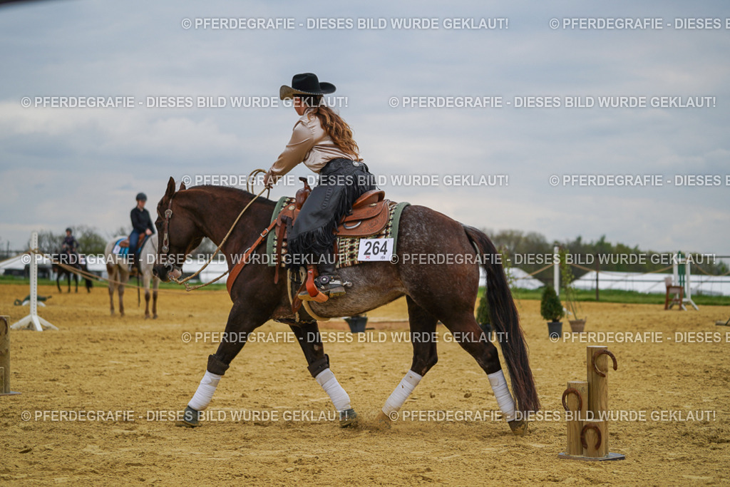 DSC07387 | Pferdegrafie