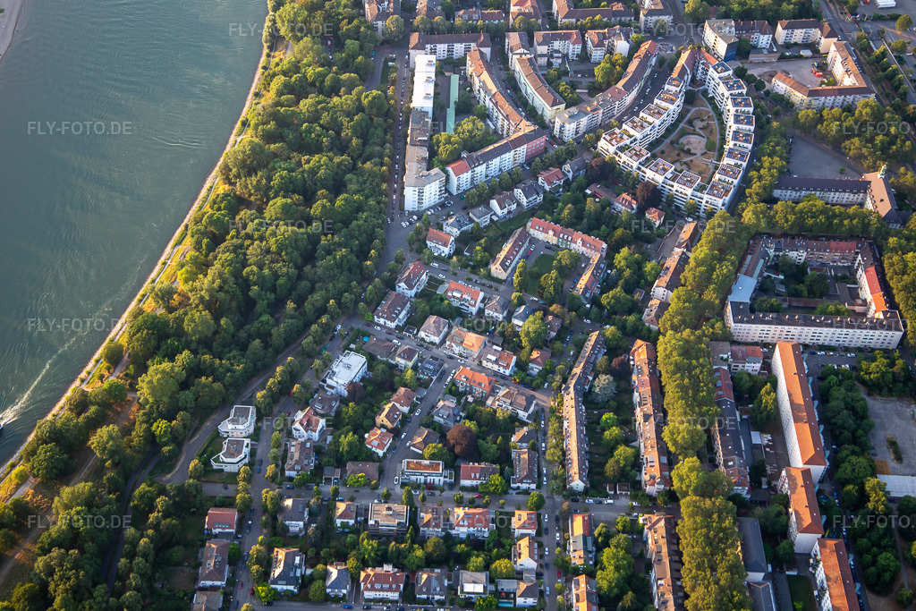 Luftbild: Stephanienufer und Schwarzwaldstraße am Waldpark im Ortsteil Lindenhof in Mannheim im Bundesland Baden-Württemberg in Deutschland. Foto: IMG_137206.jpg vom 24.06.2023 durch Werner Riehm/FLY-FOTO.de