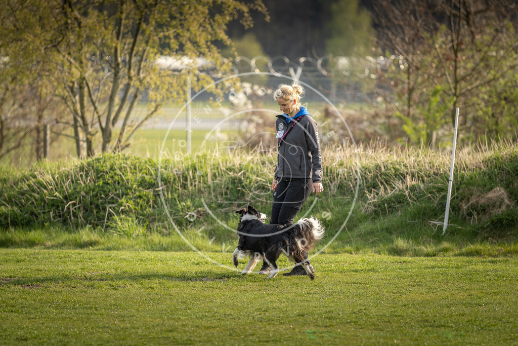 Pfotenfotografie_DV3A4737 | Hundefotografie, Tierfotograf, Pfotenfotografie, Fotoshooting Hund, Hunde Portrait, Hundesport, Hundeportraits, Heideshooting, Hunde, Sportfotograf, Hundefotograf, Turnierhundsport, THS,  - Realisiert mit Pictrs.com
