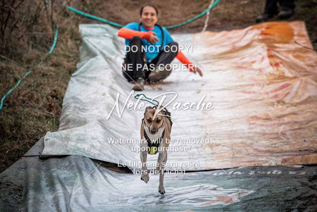 nelerasche_1130-1230_101 | nelerasche
