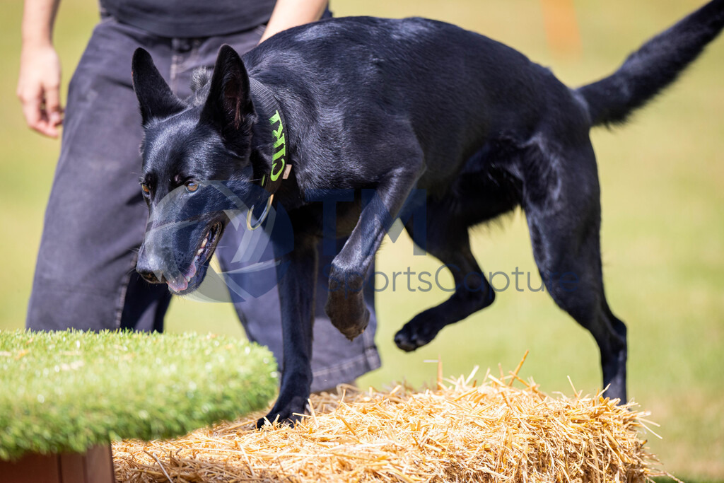 TP-20240815-0160 | Copyright: Trainproduction / Matthias Trinkl