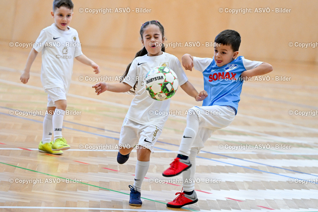 ASVÖ_ Fussballturnier SV Gallneukirchen_ 08.02.2025-64 | 08.02.2025, Gallneukirchen, AUT, ASVÖ, Fussball Nachwuchs Hallenturnier 2025, SV Gallneukirchen im Bild Teilnehmer U 7©Harald Dostal / fodo.media - Realisiert mit Pictrs.com