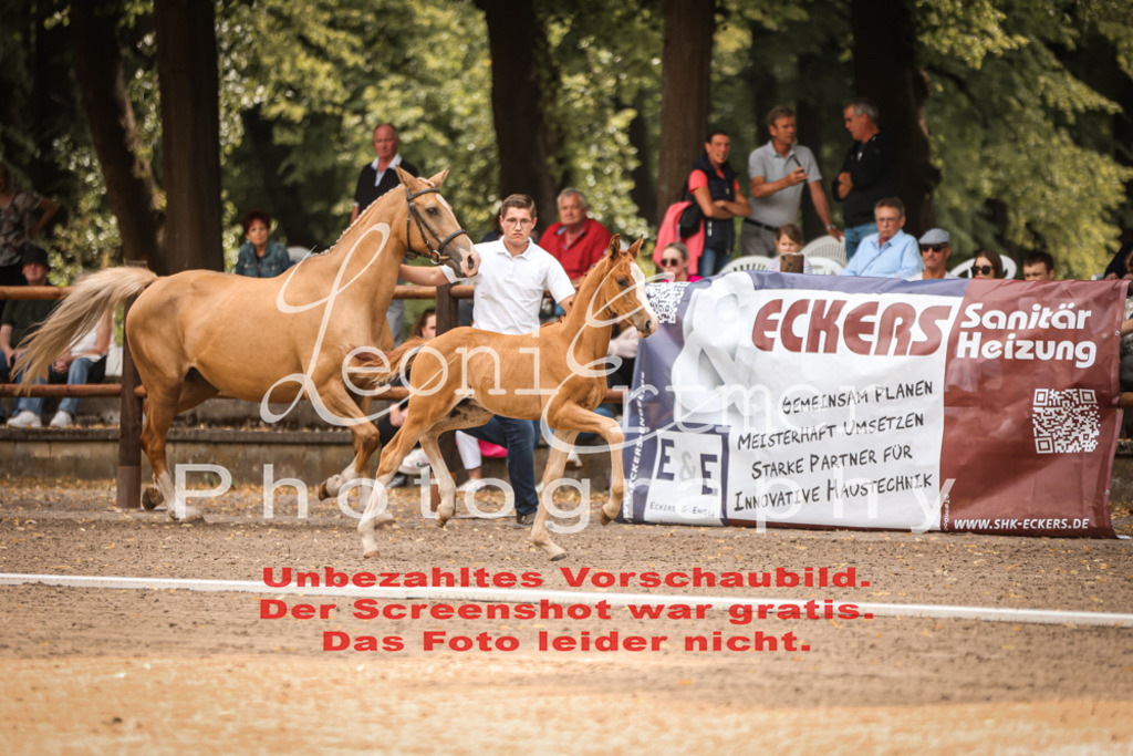 SaFohlen00018 | Leoni Ertmer Photography - Realisiert mit Pictrs.com