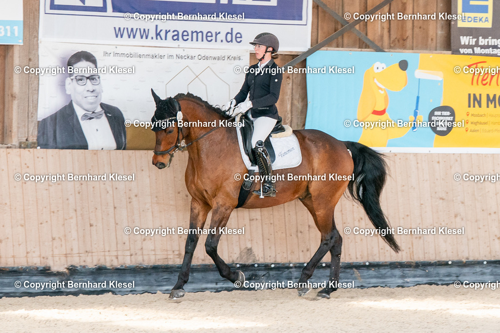 2A903665 | foto-team-bernhard - Realisiert mit Pictrs.com