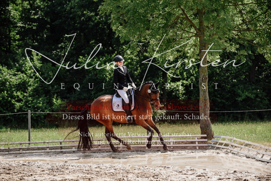 DSC_0951 | Pferde- und Turnierfotografie in Westsachsen. Pferdeportraits, Auftragszeichnungen und intuitive Kunst.