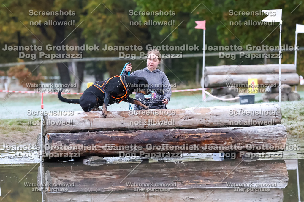 Dog Paparazzi - Strongdog 10-25-6066 | Dog Paparazzi Jeanette Grottendiek Fotografie & Videografie - Realisiert mit Pictrs.com