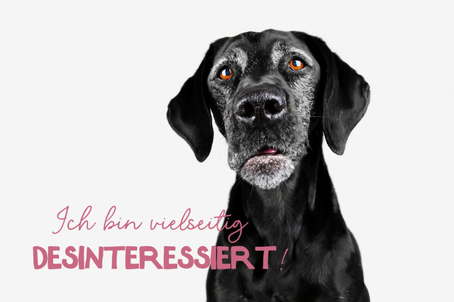 Emmys Desinteresse | "Ich bin vielseitig desinteressiert!"