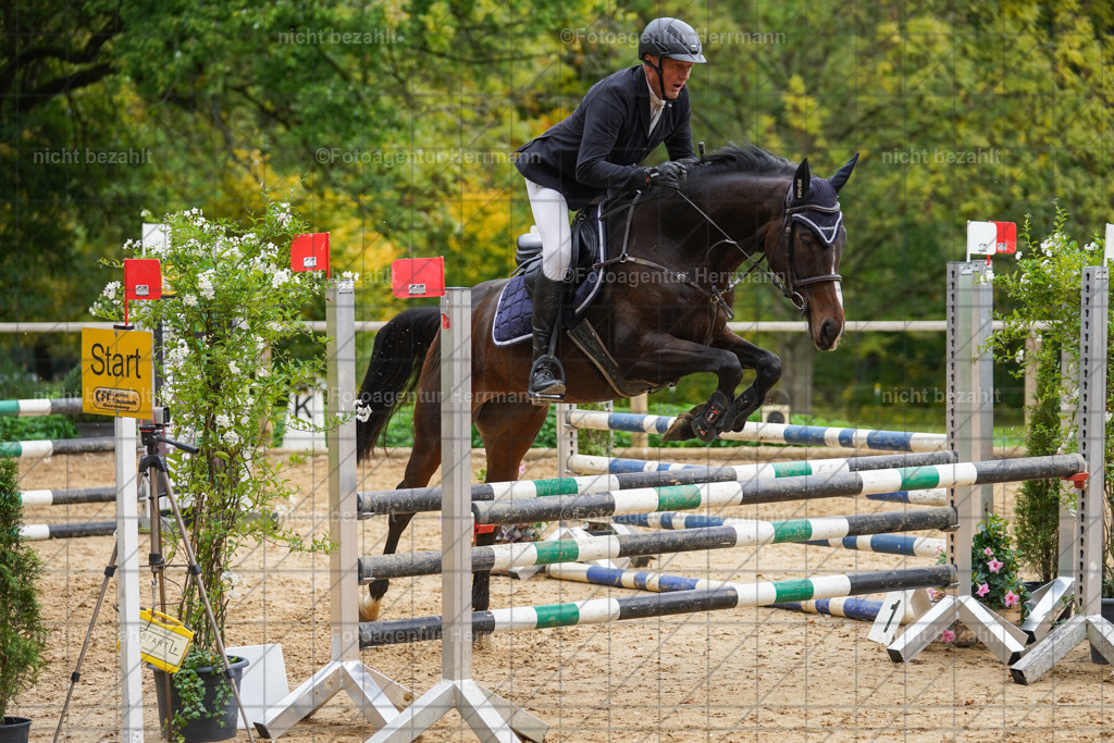 20221009-FAH08775 | Diessen am Ammersee, 2022, Dressur- und Springturnier, Reitsportbilder, Turnierfotografen Bayern, Pferdefotografen, Fotoagentur Herrmann, Turnierbilder