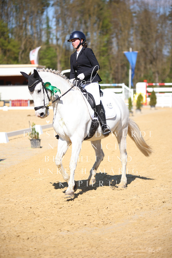 IMGT8229 | pl-fotografie