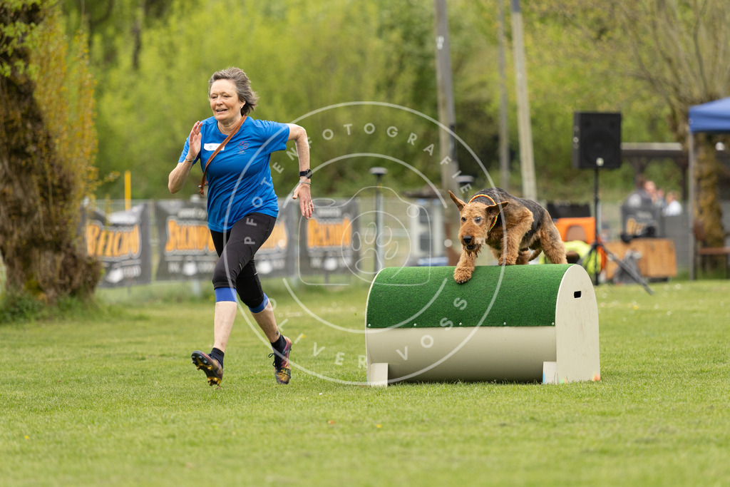 Pfotenfotografie_DV3A9027 | Hundefotografie, Tierfotograf, Pfotenfotografie, Fotoshooting Hund, Hunde Portrait, Hundesport, Hundeportraits, Heideshooting, Hunde, Sportfotograf, Hundefotograf, Turnierhundsport, THS,  - Realisiert mit Pictrs.com