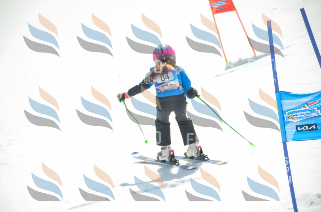 _ELE5608 | holidayphoto