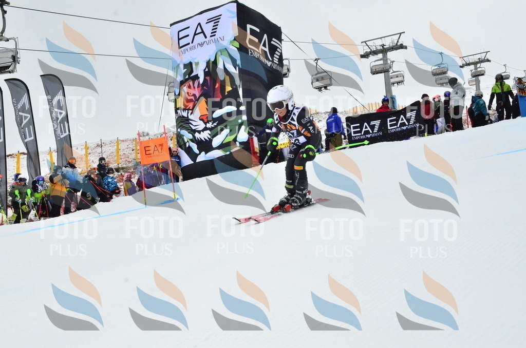 _ELE3376 | holidayphoto