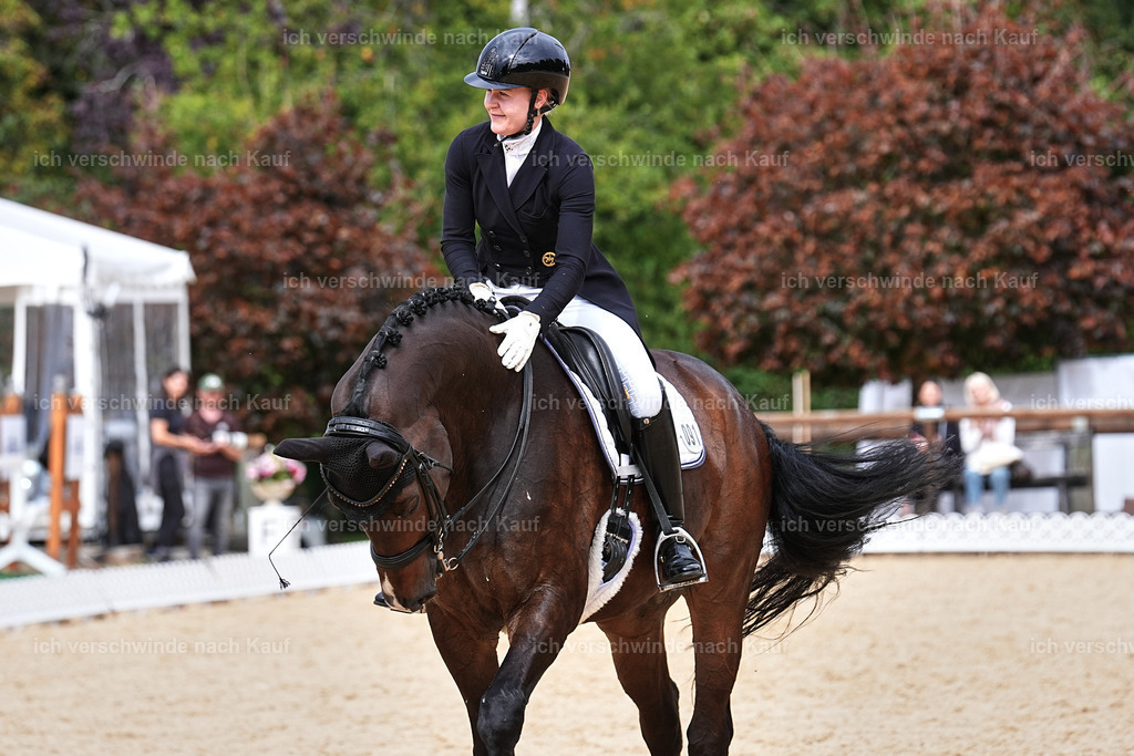 11-091-Dressur S___-Marixx-1641 | working equitationturnier fotograf videograf stoibphotography marixx film working equitation deutschland reitsport turnierfotografie eventfotografie equestrian events