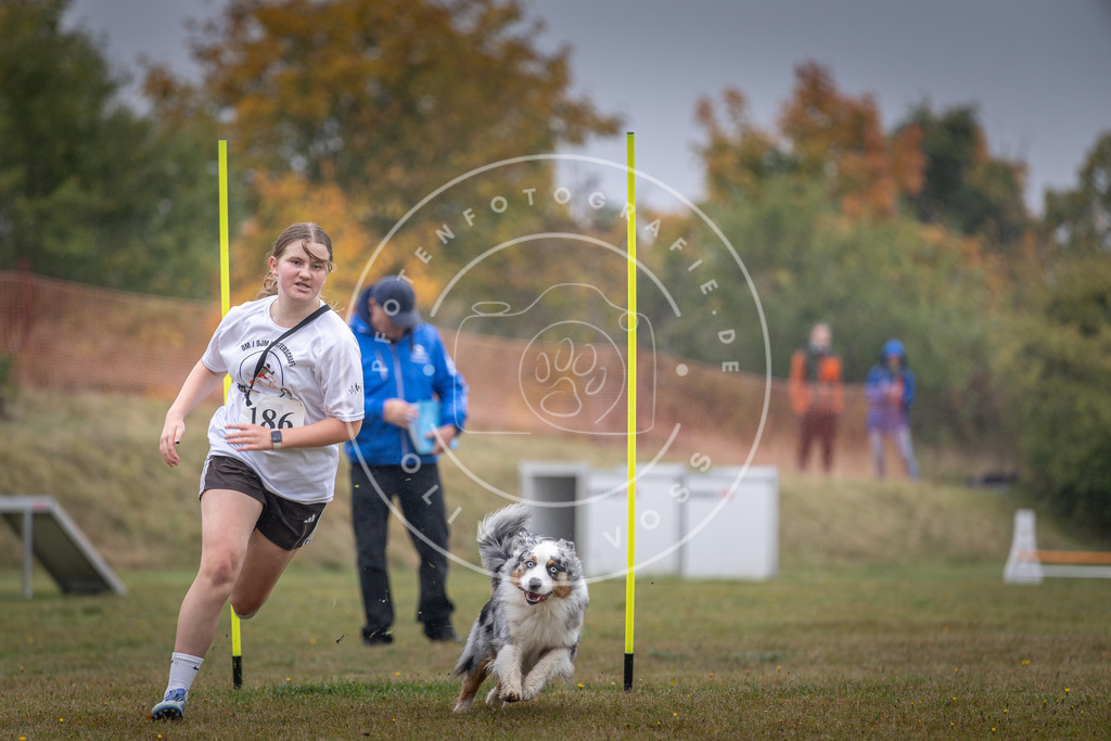 Pfotenfotografie_DV3A0125 | Hundefotografie, Tierfotograf, Pfotenfotografie, Fotoshooting Hund, Hunde Portrait, Hundesport, Hundeportraits, Heideshooting, Hunde, Sportfotograf, Hundefotograf, Turnierhundsport, THS,  - Realisiert mit Pictrs.com